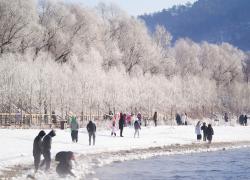 Cina: paesaggio di brina lungo il fiume Songhua a Jilin (3) 