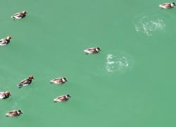 Cina: rilancio ambientale di Xunhua lungo fiume Giallo