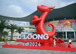 Cina: Hainan, centri commerciali espongono prodotti a tema drago (3)