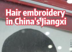 Cina: ricamo Gan con capelli nello Jiangxi
