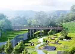Cina: base di Pechino ospiterà 50 panda giganti nel 2025
Base del Centro di ricerca e conservazione dei panda giganti entrerà in funzione nel 2025
