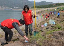 Cina: reintroduce piante rare, a rischio nell'area del bacino Tre Gole