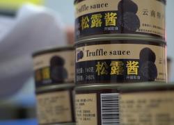 Cina: Yunnan, raccolta di tartufi neri a Yongren (2)