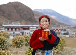 Cina: Sichuan, piantagioni di colture da reddito stimolano sviluppo rurale