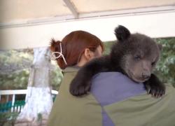 Cina: custode di Generazione Z diventa virale con video di cuccioli dolci