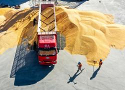 Cina: importazioni di cereali in aumento a gen-feb