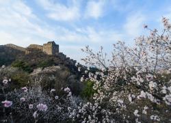 Cina: panorama primaverile della Grande Muraglia nello Hebei (2)