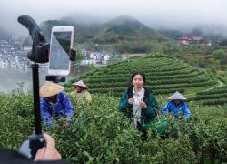 Cina: industria del tè Wuzhou Juyan a Jinhua nello Zhejiang (1)