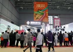 Cina: Zhejiang, Puyuan lavora per sviluppare industria della moda (2)