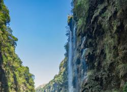 Cina: scoperta nuova specie di Asteraceae nel Guizhou