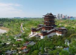 Cina: Int'l Horticultural Exhibition attira pollici verdi a Chengdu