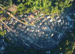 Cina: esperti lodano sforzi per conservare paesaggio culturale di foreste di tè 