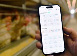 Cina: spedizioni smartphone raggiungono 69,3 mln unità nel Q1