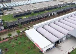 Cina: esperto olandese aiuta a modernizzare fungaie nazionali