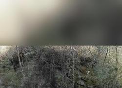 Madre panda gigante selvatica e cucciolo avvistati nello Shaanxi