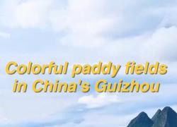 Cina: risaie ricordano enorme tavolozza di colori nel Guizhou