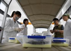 Cina: Anhui, progressi negli scavi della tomba di Wuwangdun (2)