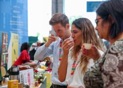 Italia: Roma, FAO ospita celebrazioni per Giornata del tè (1)
