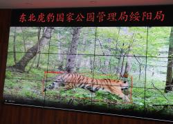 Cina: mira a creare più grande sistema di parchi nazionali del mondo