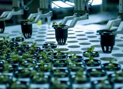 Regno Unito: studioso, settore tech globale "radicalmente trasformato da influenza cinese"