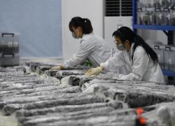 Cina: svilupperà più istituzioni archeologiche di livello mondiale in prossimo decennio