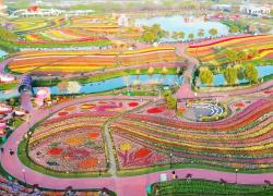 Paesi Bassi: operatore di industria loda sforzi ecologici di Yancheng