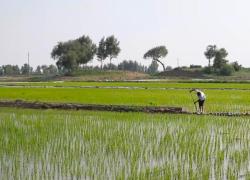 Cina: Liaoning, controllo desertificazione porta benefici ambientali, economici