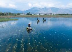 Cina: ambiente ecologico migliora nel 2023 con progressi in qualità di aria, acqua
