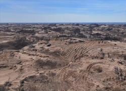 Cina: innovazione rafforza "Grande Muraglia verde" contro desertificazione