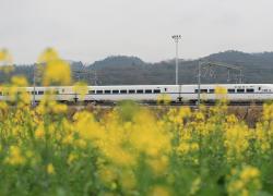 Cina: Dragon Boat Festival, ferrovie gestiranno 74 mln viaggi passeggeri