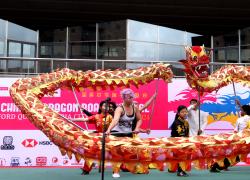 Regno Unito: festa delle barche drago a Salford (2)