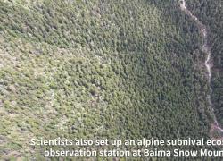 Cina: scienziati mirano a tutelare biodiversità nello Yunnan
