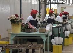 Agricoltura Africa prospera grazie a tecnologia Cina, accesso al mercato