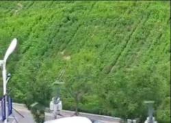 Cina: auto volante collaudata nel nord del Paese