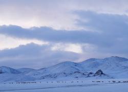 Cina: Xizang, migrazione delle antilopi tibetane(1)