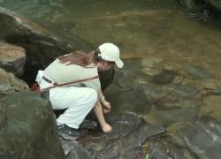 Cina: cascate offrono vista spettacolare e freschezza sul Monte Lushan