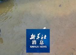 Cina: inondazioni, risposta di emergenza di livello 4 in 3 regioni