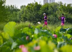 Cina: Shaanxi, Hanzhong promuove protezione ecologica (2)