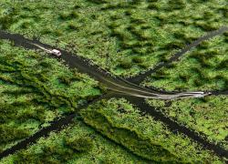 Cina: Shandong, parco di zone umide a Jining (1)