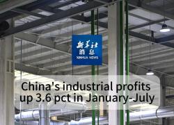 Cina: utili industriali +3,6 % a gen-lug
Aumentati del 3,6% su base annua nel periodo secondo dati ufficiali