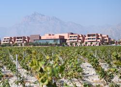 Cina: Ningxia, Dulaan Holiday Wine Stroll nella contea di Helan (1)