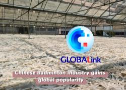 Cina: industria del badminton guadagna popolarità a livello globale