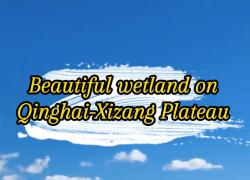 Cina: meravigliosa zona umida sull'altopiano del Qinghai-Xizang