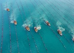 Cina: Shandong, pesca delle ostriche a Rongcheng (1)