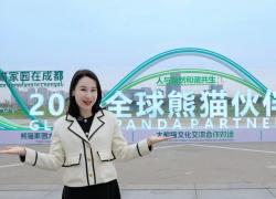 Cina: Global Panda Partners 2024, diventiamo partner in materia di panda!