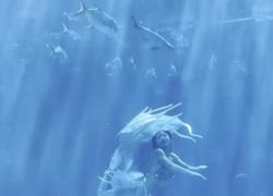 Cina: apertura del China Mermaid Open Grand Final a Sanya 