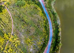 Cina: presenta piano 2025-2030 per promuovere ambienti sani