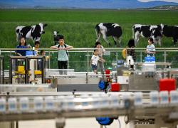 Cina: sviluppo di alta qualità dell'industria lattiero-casearia nella Mongolia Interna (1)