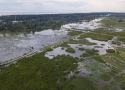 Cina: Parco nazionale delle zone umide di Haiwei a Hainan (1)
