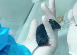 Cina: stazione spaziale consegna nuovo lotto di campioni per la ricerca